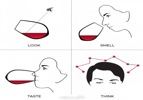 4 bước nếm thử rượu vang như chuyên gia